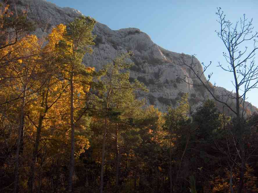 La falaise de la Sainte Baume vue depuis le Sentier Merveilleux. Le samedi 3 novembre 2007