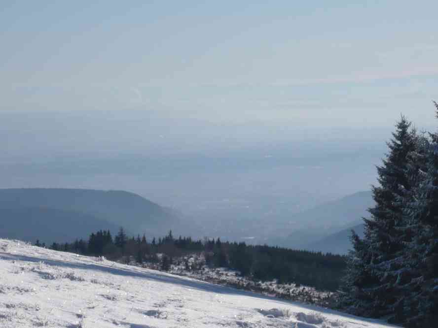 Depuis le crête du petit Ballon, vue vers les Alpes suisses (bon courage pour reconnaître les sommets !). Le dimanche 3 janvier 2010