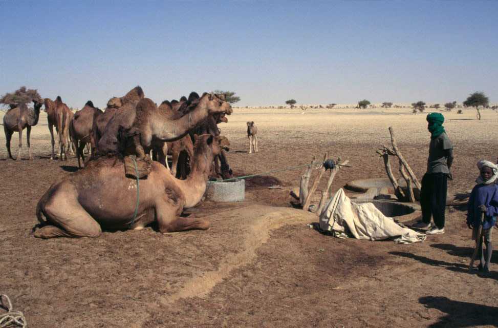 Le puits de Burkina (9 février 1998)